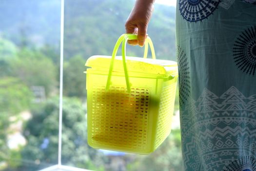 Woman hand holding plastic box light-green container with fruits for transportation closeup. 