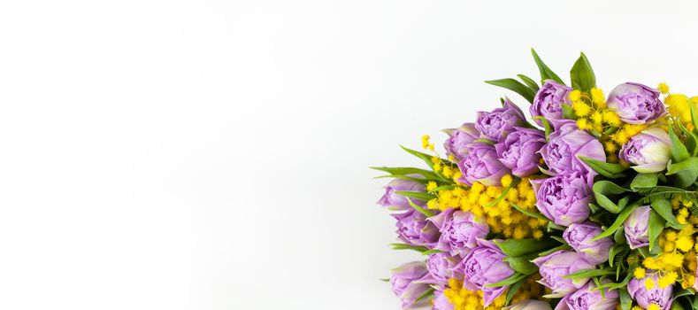 Bouquet of lilac tulips and yellow mimosas on white background, copy space, side view, closeup. March 8, February 14, birthday, Valentine's, Mother's, Women's day celebration, spring concept. Banner.