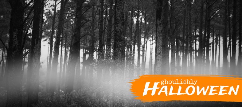 Graphic image of ghoulishly Halloween text against forest full of smoke 