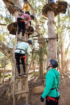 Friends climbing on tree with stairs on a sunny day