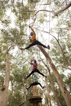 Friends on zipline in adventure park on a sunny day