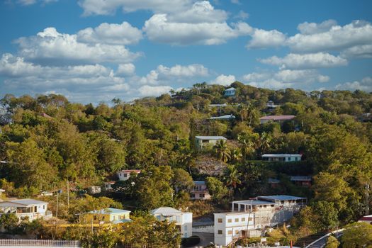 Homes on a lush hillside on a tropical island