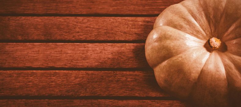 High angle view of white pumpkin on wooden table during Halloween