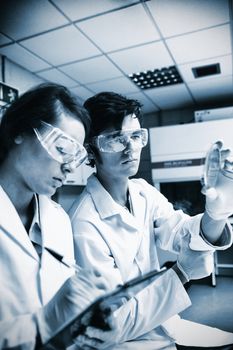 Scientist working in laboratory 