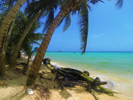 Tropical paradise beach on Little Corn, Nicaragua.