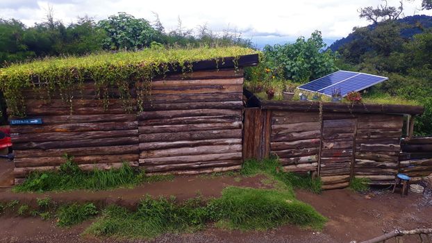 Environment friendly green roof on a timber or wooden building. Sustainable construction in developing countries like Guatemala, Central America. Hobbitanango.