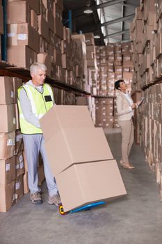 Warehouse worker moving boxes on trolley in a large warehouse