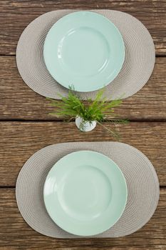 Overhead view of empty plates with plant on wooden table