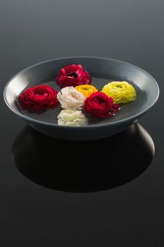 Close-up of red, white and yellow roses in glass bowl with water