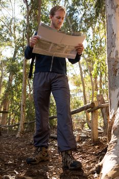 Hiker reading a map on a sunny day in the forest