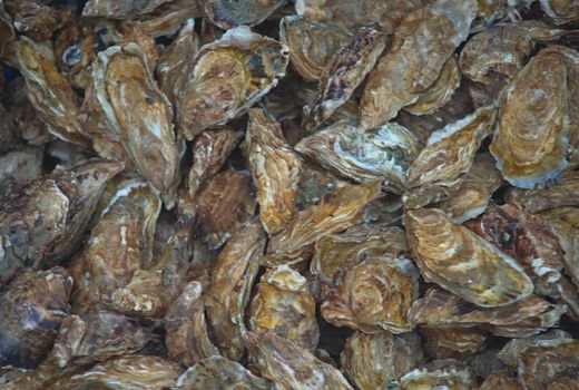 Many fresh oysters for sale at fish market in Cancale, France