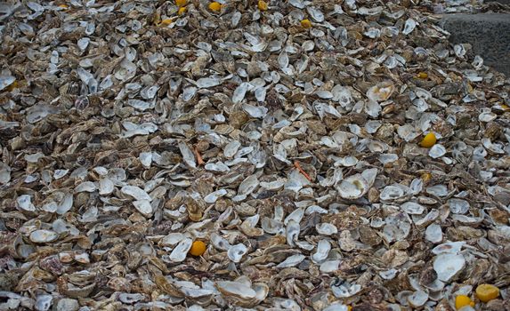 Huge pile of oyster shells at Cancale, France