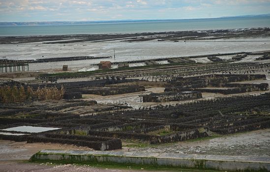 Oyster farm at Atlantic ocean shore at Cancale, France