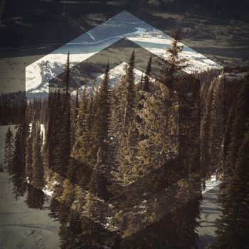 Empty ski lift and pine tree at ski resort during winter