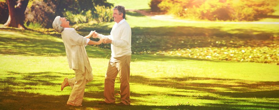 Mature couple dancing in the park during the summer