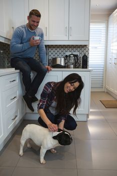 Couple having fun with their pet dog in kitchen at home