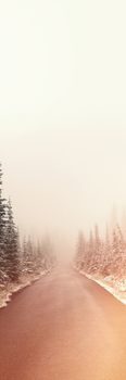 River with snow covered trees on both the sides during winter