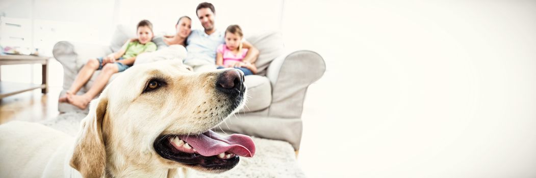 Happy family sitting on couch with their pet yellow labrador in foreground at home in the living room