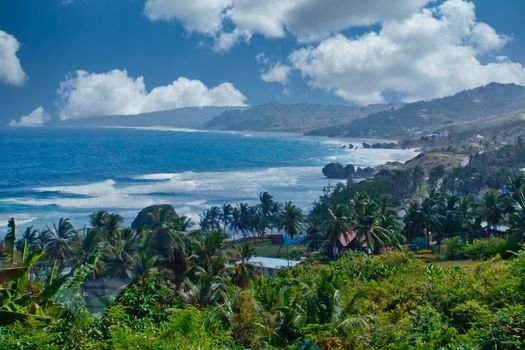 A view of a tropical bay from above