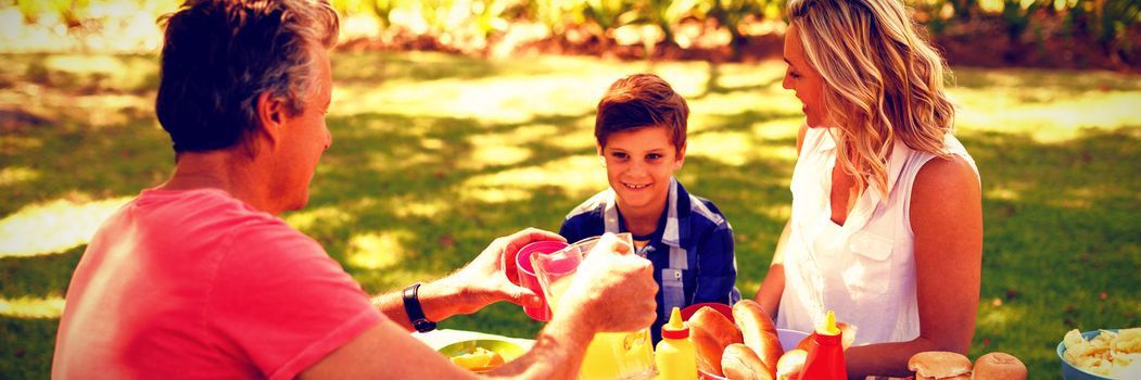 Happy family interacting with each other while having meal in park on a sunny day