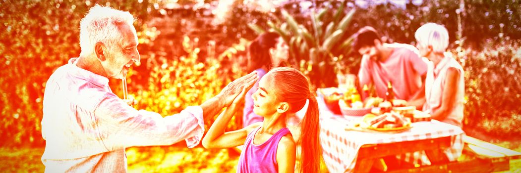 Grandfather and granddaughter giving a high five while preparing barbecue in the park