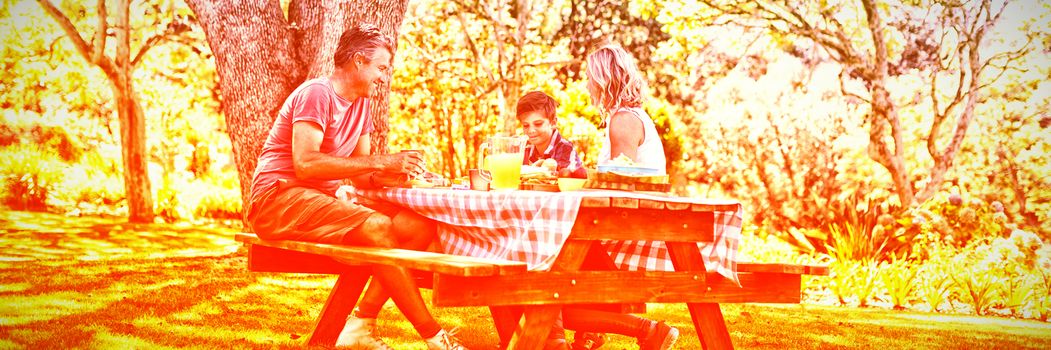Happy family interacting with each other while having meal in park on a sunny day