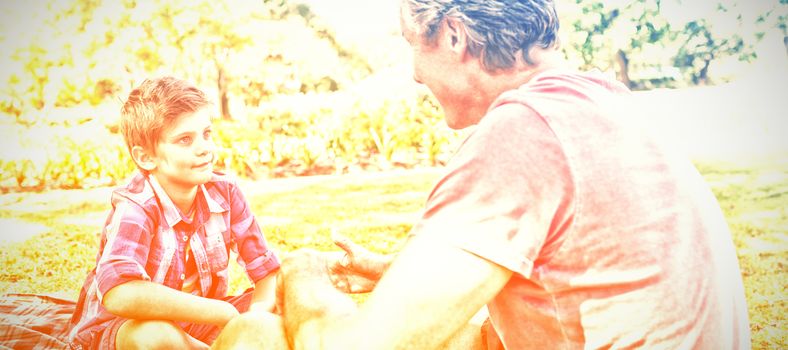 Father talking to son at picnic in park on a sunny day