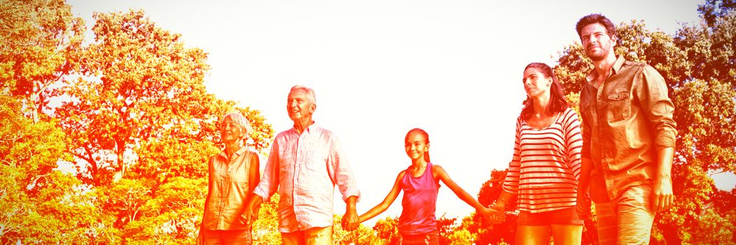 Family holding hands in the park on a sunny day