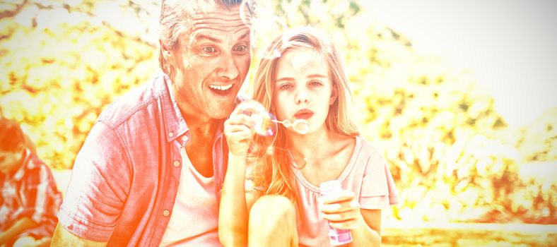 Happy Father and daughter blowing bubble wand at picnic in park