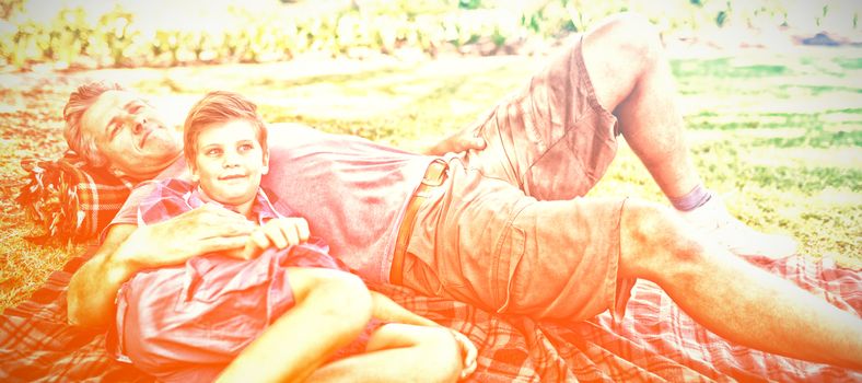 Father and son lying on picnic blanket in park on a sunny day