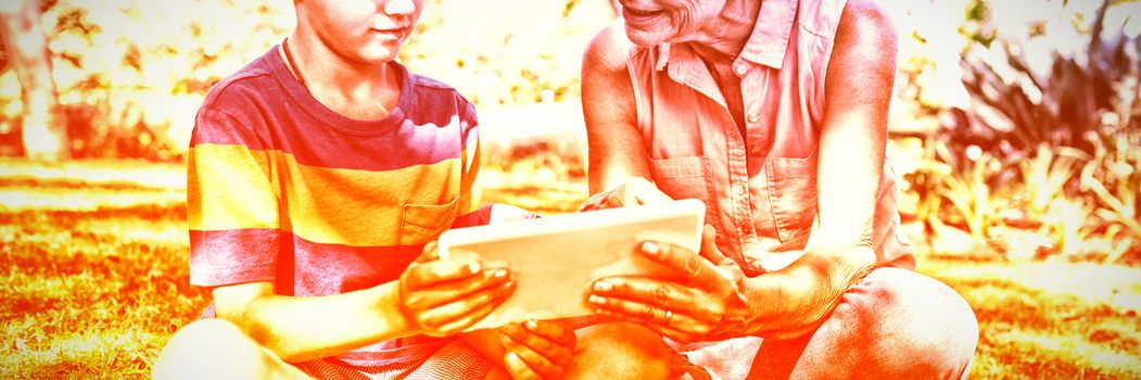 Grandmother and grandson using digital tablet in the park on sunny day