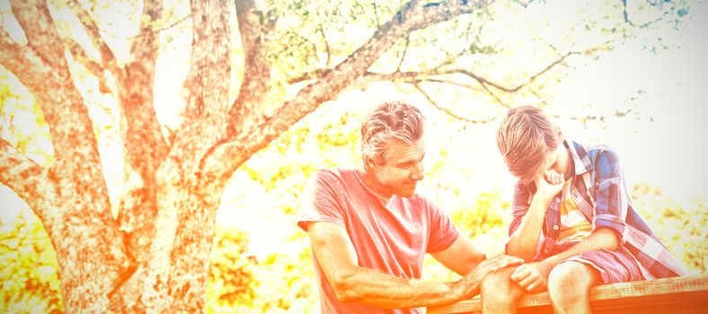 Father consoling his son at picnic in park on a sunny day