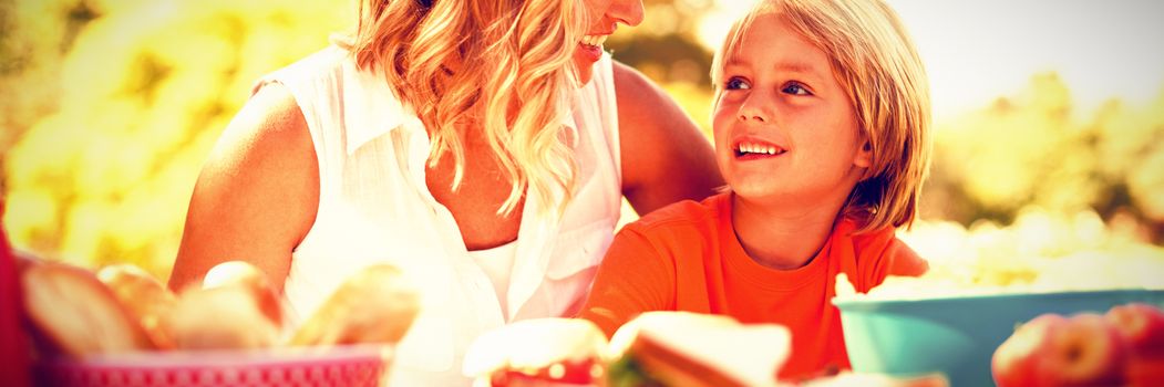 Mother and son interacting with each other while having meal in park on a sunny day