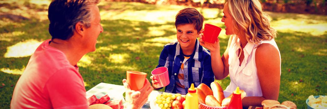 Happy family interacting with each other while having juice in park on a sunny day