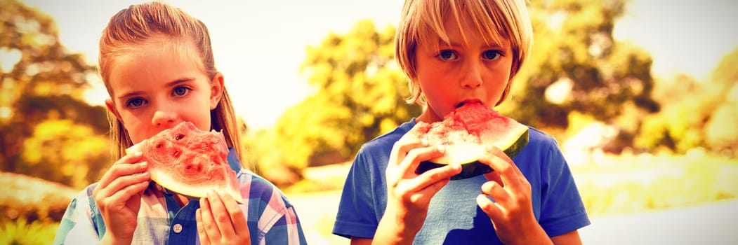 Close-up of siblings having watermelon in the park