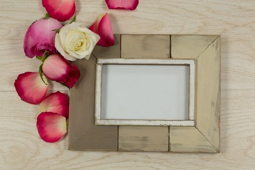 Close-up of empty photo frame with rose flower and petals