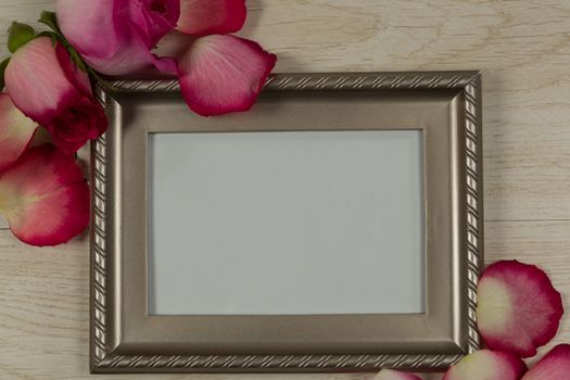 Close-up of empty photo frame with rose flower and petals