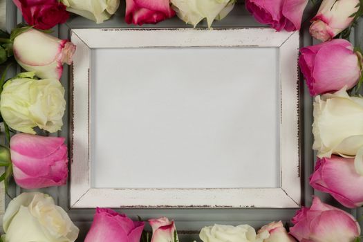 Close-up of empty photo frame surrounded with rose flower