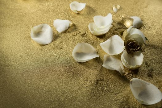 Close-up of white rose petals on gold dust background