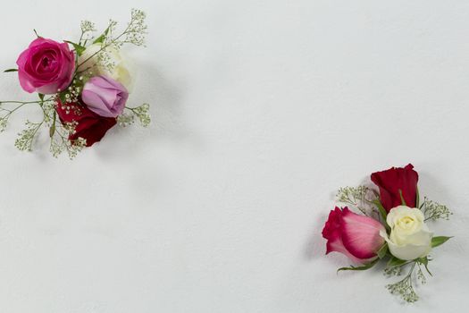 Overhead of rose flowers arranged on white background