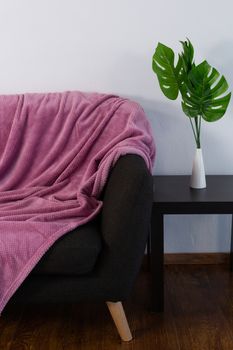 Purple banket arranged on sofa