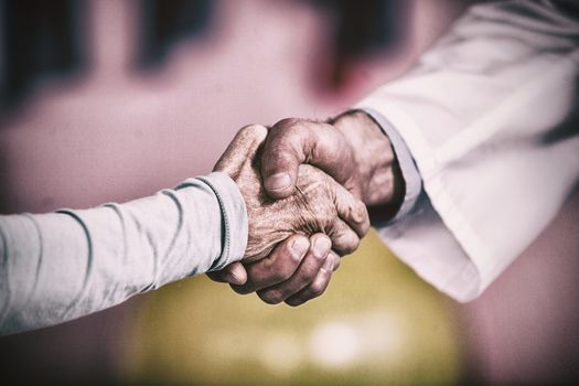 Physiotherapist shaking hands with patient in clinic