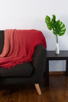 New blanket arranged on sofa