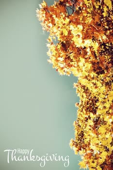 Illustration of happy thanksgiving day text greeting against  low angle view of tree against blue sky