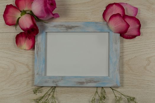 Close-up of empty photo frame with rose flower and petals