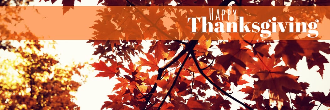 Digitally generated image of happy thanksgiving text against branch of maple leaves in autumn