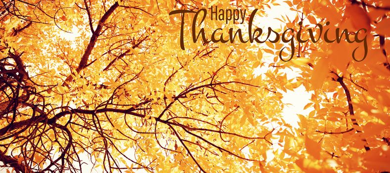 Illustration of happy thanksgiving day text greeting against  view of leaves