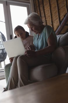 Side view of a grandmother and granddaughter using laptop in living room at home