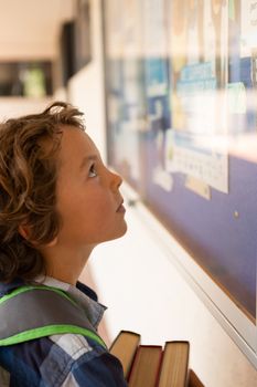 Side view of a cute Caucasian schoolboy looking at noticeboard in the corridor at school