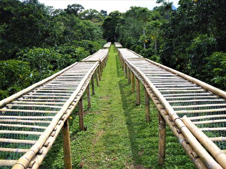 coffee bean or cherry drying racks in boquete panama